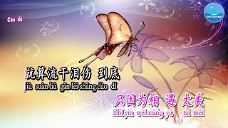 Cánh Bướm Trong Mưa [雨蝶] - Lý Dực Quân [李翊君] Tone Nữ [女版] (Karaoke - KTV)