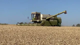 E 517 v pšenici