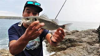 Des BARS le soir du bord/pêche en mer aux leurres