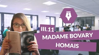 Lecture commentée de Madame Bovary, partie 3, chapitre 11, points d’analyse, Homais - Littérature