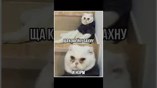 Ну что по кофейку☕#шиза #новоевидео #реальнаяжизнь #подписка #90е #90skids