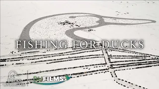 Fishing For Ducks | S8E5, DU Films