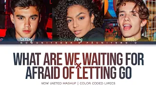 Now United - What Are We Waiting For × Afraid Of Letting Go (Mashup) Collab With Fã Uniter N.U | CCL