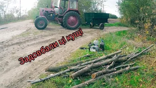 Халявні дрова!!!Добра справа Як заготовити дрова безкоштовно щей почистити узбіччя.все буде Україна!