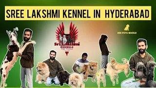 Part : 1| top kennel in Hyderabad Telugu | Sree Lakshmi kennel visit |#hyderabad #india #telugu #dog