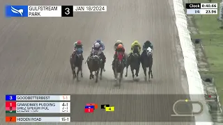 Gulfstream Park Carrera 3 - 18 de Enero 2024