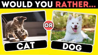 Animal Would You Rather Brain Break