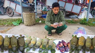 Harvest banana flowers, pineapples to go to the market to make money to build a wooden house | Ep 14