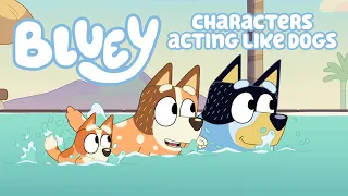 Bluey characters acting like dogs