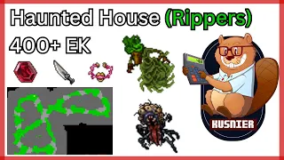 Haunted House (Rippers Venore) | 400+ Knight | Tibia