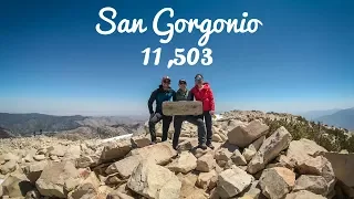 San Gorgonio Peak Hike via Vivian Creek Trail | Humble Hiker