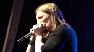 Will Wilde Harmonica Solo (The Weight) Krissy Matthews & Friends Live at Altzella Blues & Rock Fest