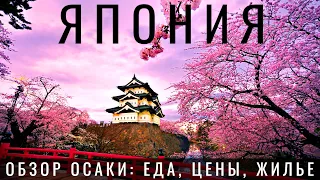 Япония. Первый раз. Ожидание и реальность. Виза, цены, жилье, еда.  Осака Путешествие по Японии 2023