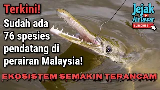 [Updated] Senarai terkini spesies pendatang di perairan Malaysia (2023)