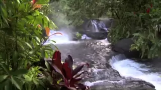 Discover Costa Rica