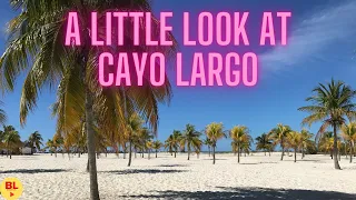 A Look at Cayo Largo Cuba