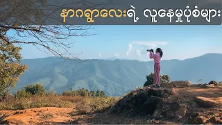 နာဂရွာလေးရဲ့  လူနေမှုပုံစံများ // Lifestyle of a Naga village in Myanmar