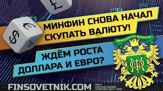 Минфин снова скупает валюту! Ждать роста доллара и евро?