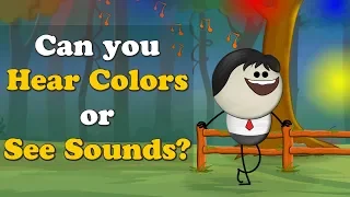 Can you "Hear Colors" or "See Sounds"? + more videos | #aumsum #kids #science #education #children