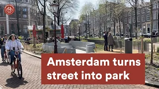 Amsterdam turned a street into a park