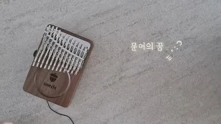 문어의꿈-안예은 칼림바(Kalimba cover)