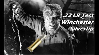 Winchester Silvertip .22 LR Test