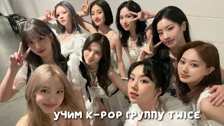 учим k-pop группу twice/учимся различать twice | vetmifi