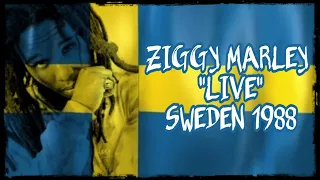 ZIGGY MARLEY  "Live" in Stockholm Sweden 1988