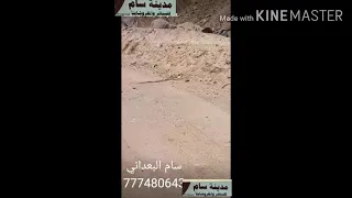 القناص اليمني استطاع  قنص ثعبان من اول طلقه عل مسافه24متر
