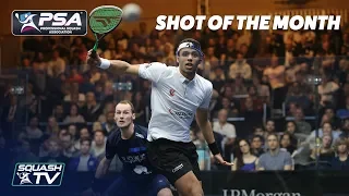 Squash: Shot of the Month - January 2020