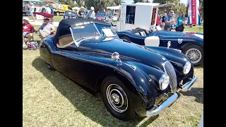 1950 Jaguar XK120