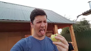 КОГДА РЕШИЛ СЪЕСТЬ ЯБЛОКО | 2 ТИПА ЛЮДЕЙ (VINE) WHEN I DECIDED TO EAT AN APPLE