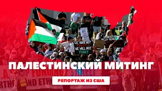 Пропалестинский митинг и чего они добиваются на самом деле