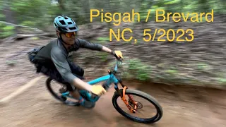 Mountain Biking - Brevard / Pisgah, Western North Carolina