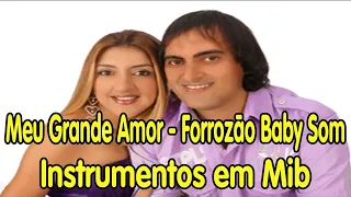 Meu Grande Amor - Forrozão Baby Som [Karaokê Mib]