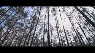 SEDLÁCI - Jedného dňa feat. Jaro Závodský (OFFICIAL VIDEO)