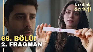 Kızılcık Şerbeti 66. Bölüm 2. Fragman | Üzgünüm Ama Ben Hamileyim!