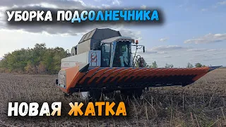 УБОРКА ПОДСОЛНЕЧНИКА. ДРУЖИМ НОВУЮ ЖАТКУ С АКРОС 585