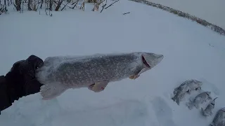 ЩУКА НА ЖЕРЛИЦЫ ЛОВИМ В МОРОЗ МИНУС 30'C