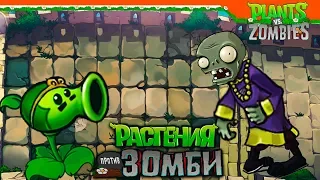 💎 КИТАЙСКИЕ ЗОМБИ 🧟 Plants vs Zombies (Растения против Зомби) Прохождение