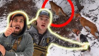 Hunting a Mountain Lion with Braydon Price!