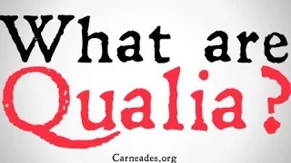 What are Qualia? (Philosophical Definitions)