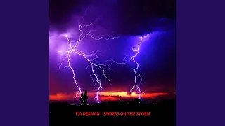 Spiders On The Strom (Live Mix)