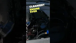 Cleanest Holden Commodore Engine Ever at Midwest Show 2023