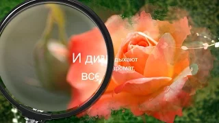 Почаще себя представляй королевой!