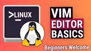 Vim Text Editor Basics - Using Vim on Linux / Mac / Unix (Beginners Guide)