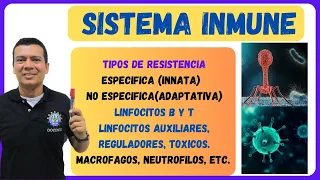 🏅EL SISTEMA INMUNE, INMUNOLOGICO O INMUNITARIO LINFOCITOS B, T, AUXILIARES, ASESINOS, TOXICOS.