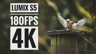 Lumix S5 | 4K 180FPS!! 😱  #topazvideoenhanceai