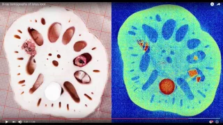 Inverse Problems Lecture 15/2017: real-data x-ray tomography 1/2