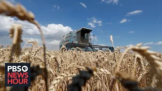 Russia's war in Ukraine disrupts worldwide food prices and supply